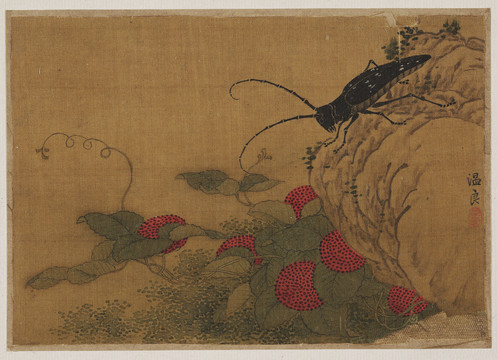 溫良草蟲圖