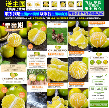 皇帝柑詳情頁