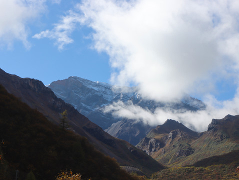 雪山森林