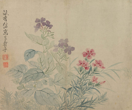 惲壽平豆花石竹