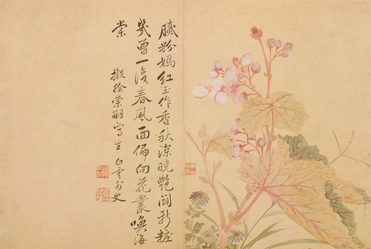 惲壽平膩粉嫣紅