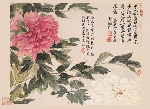 惲壽平牡丹圖