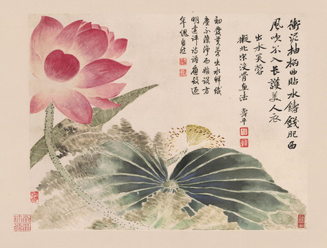 惲壽平荷花圖