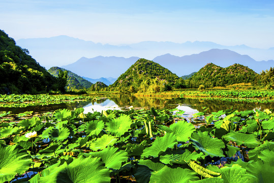 田园山水