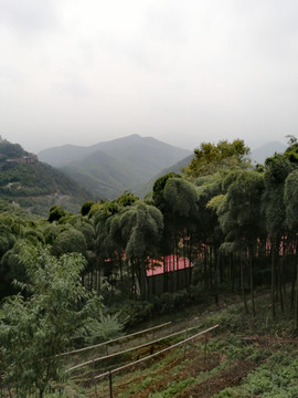 莫干山风景区