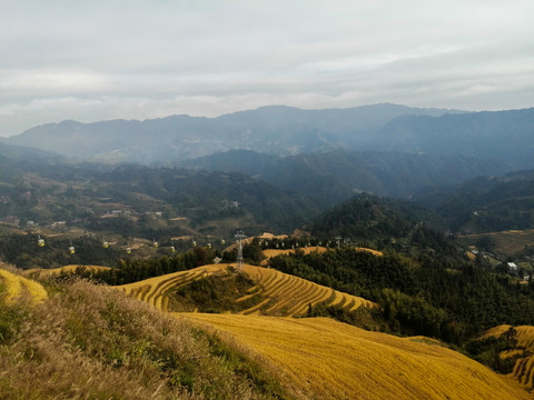 龙脊梯田