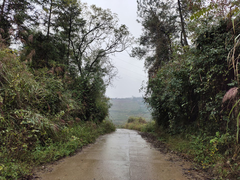 两山之间的公路与绿植