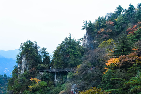 老君山