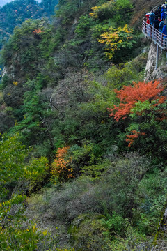 老君山