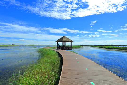 高原湖泊湿地栈道