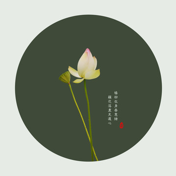 荷韻