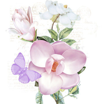 高清魅力花朵