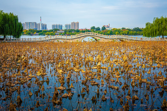 济南大明湖