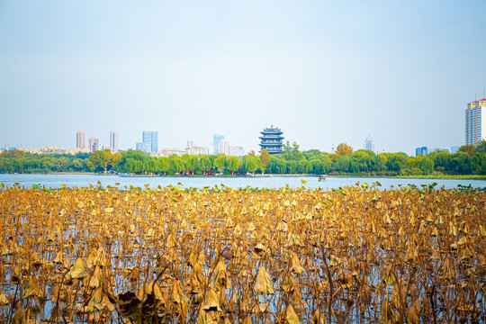 济南大明湖