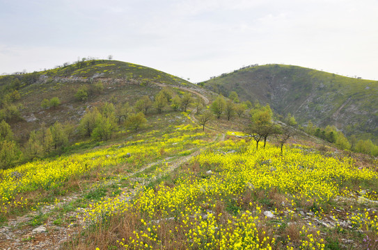 滁州丰山岭