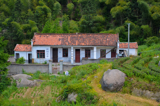 大山中的小学