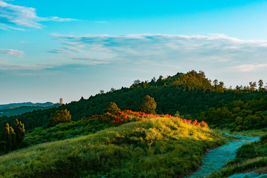 田园山水风景