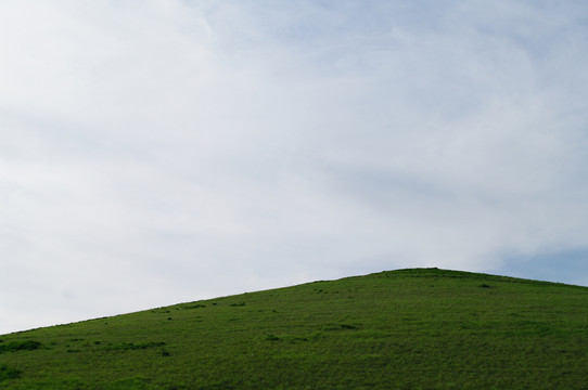 绿草地