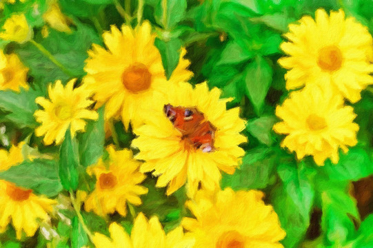 蝶戀花