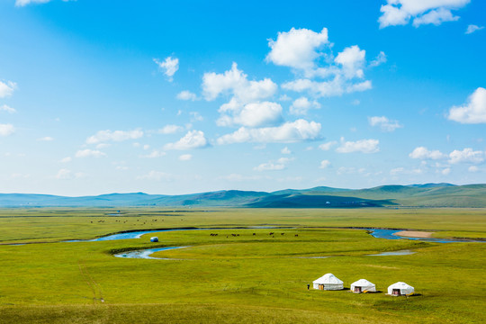 草原蒙古包莫日格勒河