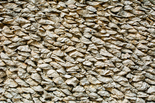 牡蛎壳墙