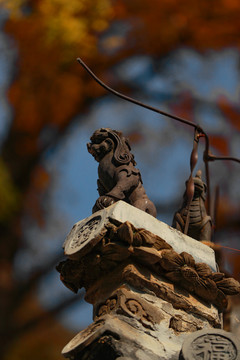 潭柘寺寺秋色