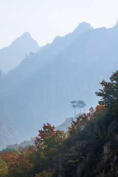 层峦叠嶂