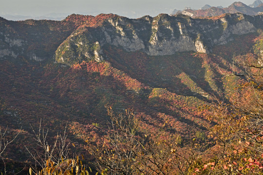 河北省石家庄市井陉县仙台山红叶