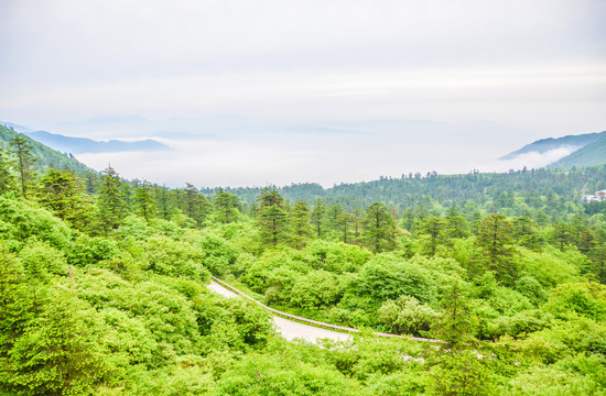 峨眉