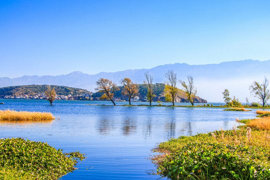 泸沽湖美景