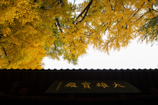 济南灵岩寺