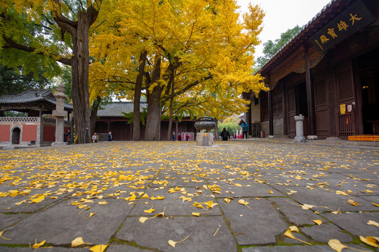 济南灵岩寺