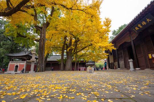 灵岩寺