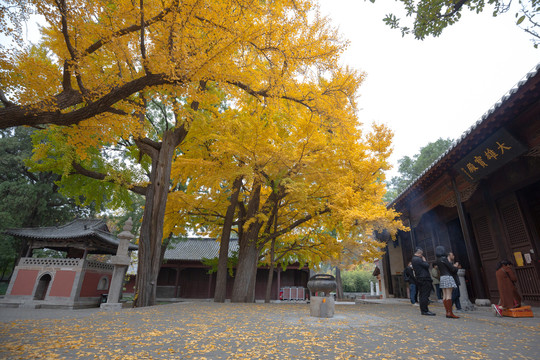 灵岩寺大雄宝殿