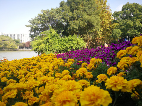 京杭大运河杭州清晨风光