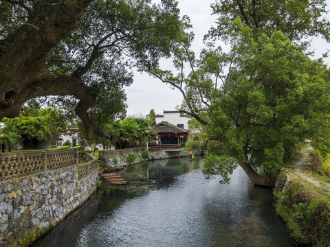 婺源严田古樟民俗园