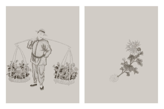 賣花兒的小販