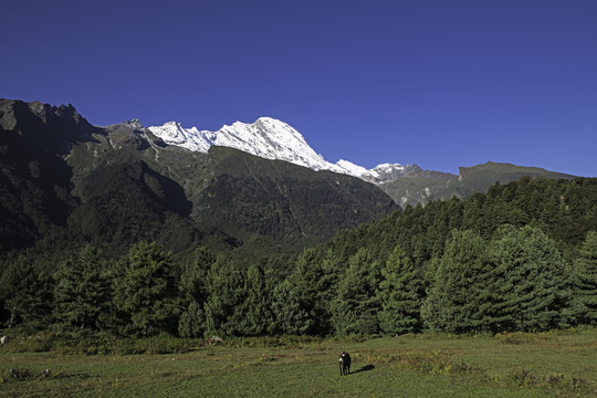 希夏邦马峰