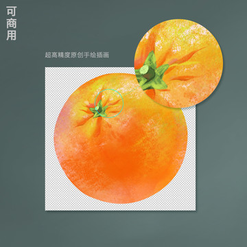 手绘橙子插画