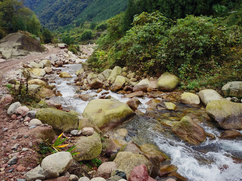 清澈的溪水