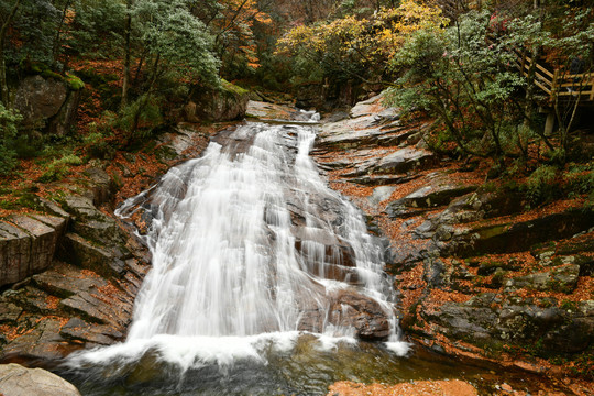 红叶与山泉