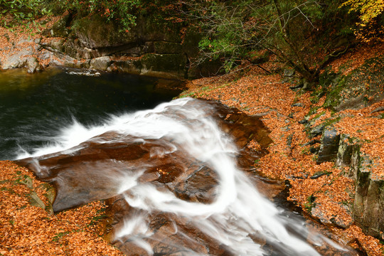 红叶与山泉小溪