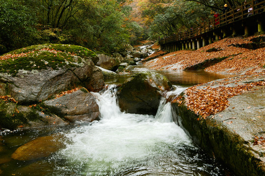 红叶与山泉小溪