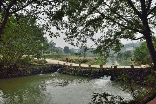 河流树木公路