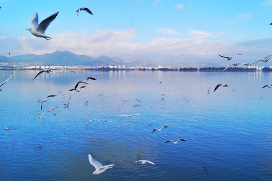 昆明滇池海埂公园