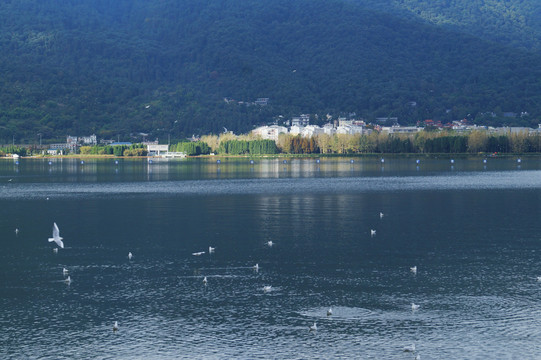 云南滇池风景