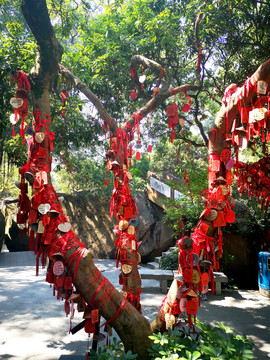 深圳福永凤凰山祈福