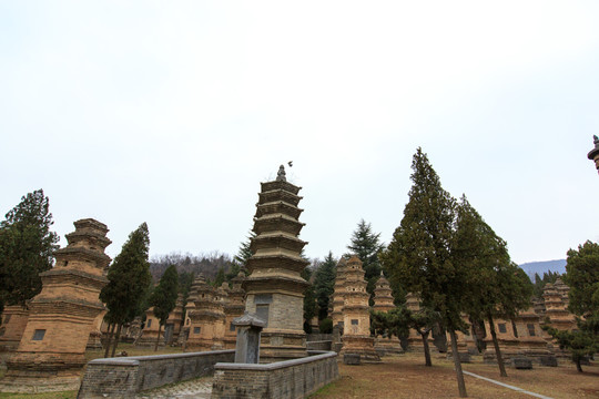 河南登封嵩山少林寺塔林