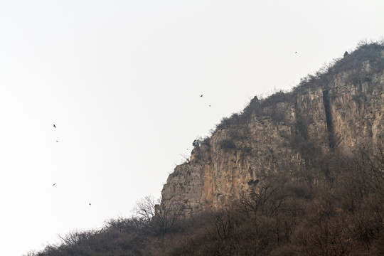 河南焦作云台山潭瀑峡风光