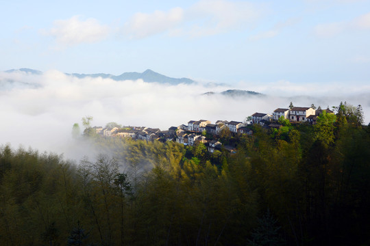 山村木梨硔